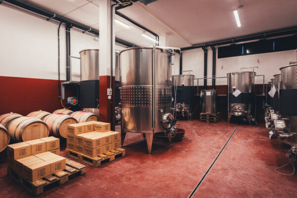 Le Grotte Azienda Agricola Cantina by Aimo Photo 2k25 WEB RESIZE - 12 - Le Grotte Azienda Agricola Cantina by Aimo Photo 2k25 WEB RESIZE - 12 -