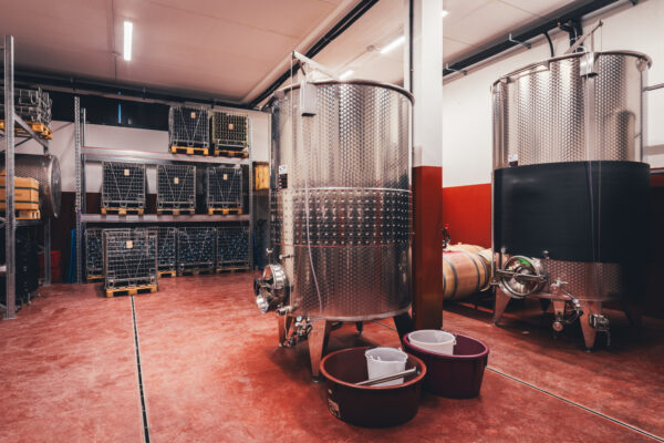 Le Grotte Azienda Agricola Cantina by Aimo Photo 2k25 WEB RESIZE - 13 - Le Grotte Azienda Agricola Cantina by Aimo Photo 2k25 WEB RESIZE - 13 -